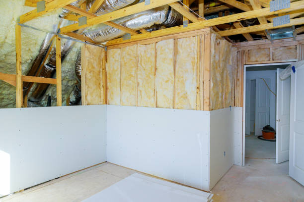 Best Insulation Maintenance and Repair in Myrtle Grove, FL